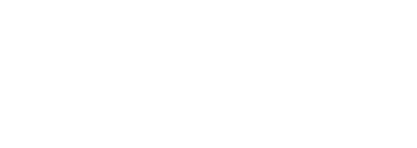 MLFun primary logo